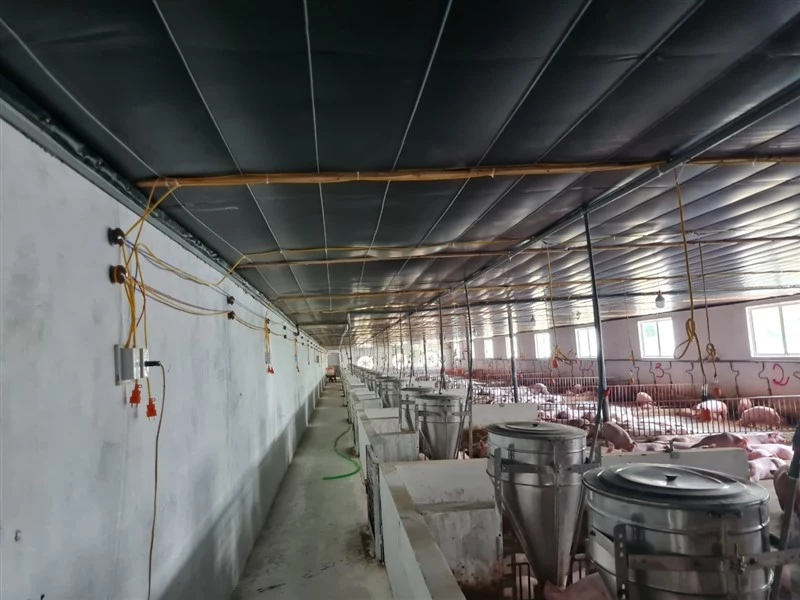 Trang trại lợn – Hợp Tác Xã Thắng Lợi 